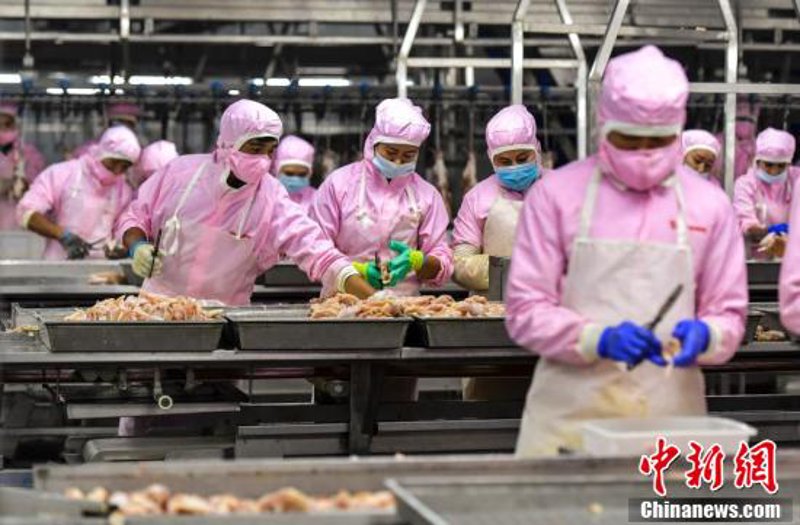 聊城金属材料：行业前沿与应用动态
